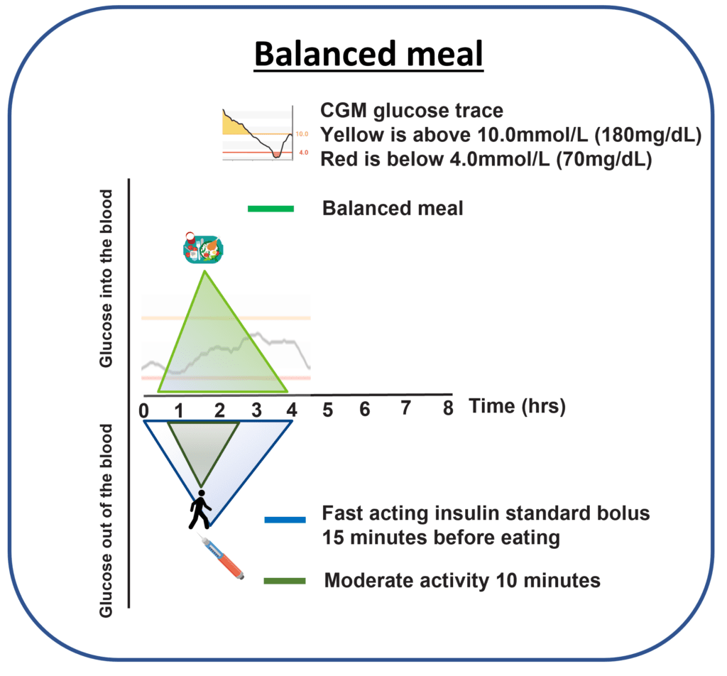 Graph comparing glucose curves after a balanced meal with and without pre-bolus timing and post-meal activity