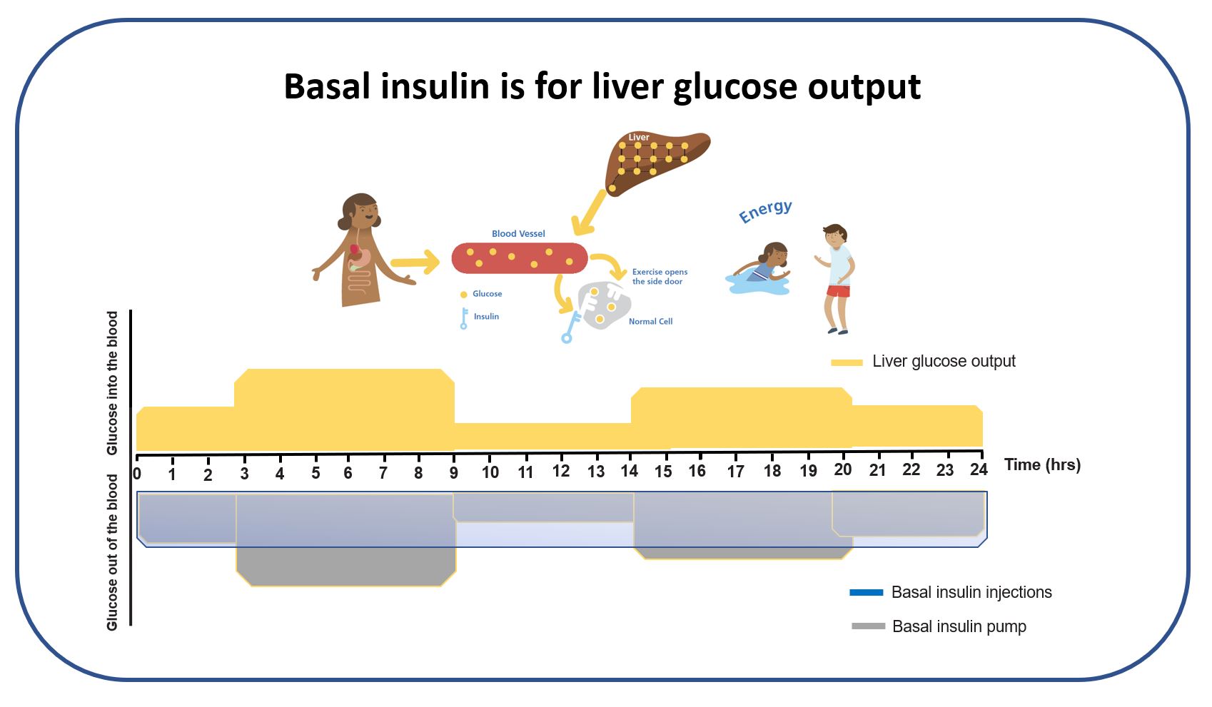 Diagram showing basal insulin covering liver glucose output across the day, with liver output varying while injection-based delivery remains relatively flat.