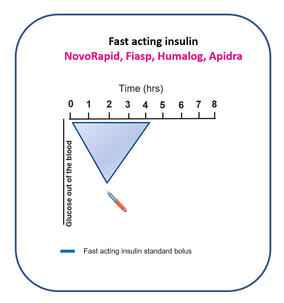 Cartoon action profile of fast-acting insulin showing slow onset, peak action around two hours after delivery, and a tail lasting around four hours.