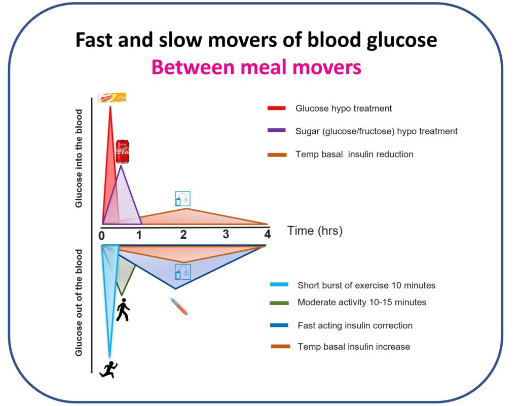Diagram showing fast movers (exercise, glucose tablets) versus slow movers (insulin, sugar drinks) for managing glucose between meals