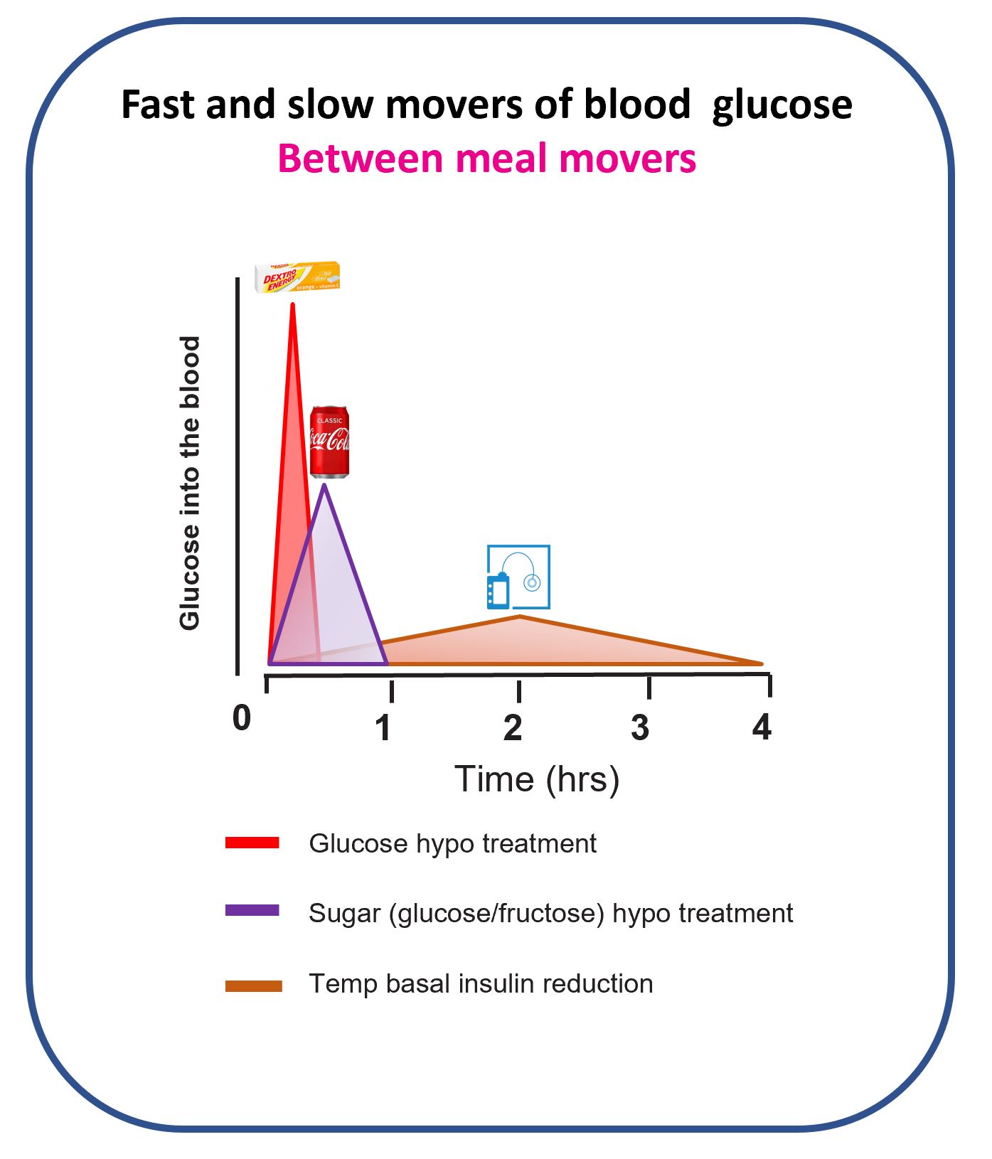 Summary chart showing fast-acting factors (such as glucose tablets and fast carbohydrates) versus slow-acting factors (such as food still digesting and basal increases) that raise glucose between meals.