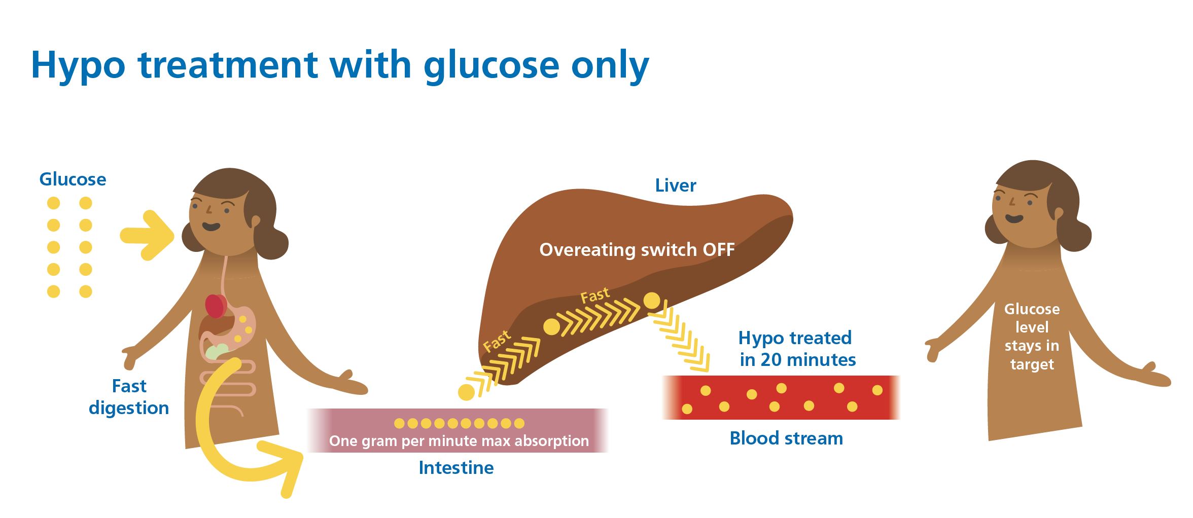 Diagram showing glucose treatment kinetics: direct absorption, predictable rise, cleaner recovery