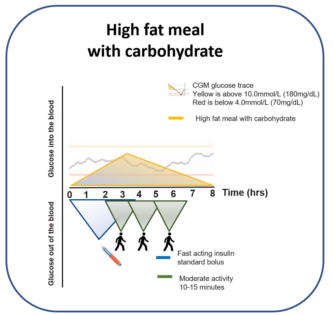 Graph showing the improved glucose curve after a high-fat meal when 15 minutes of moderate activity is added at the 2-hour mark