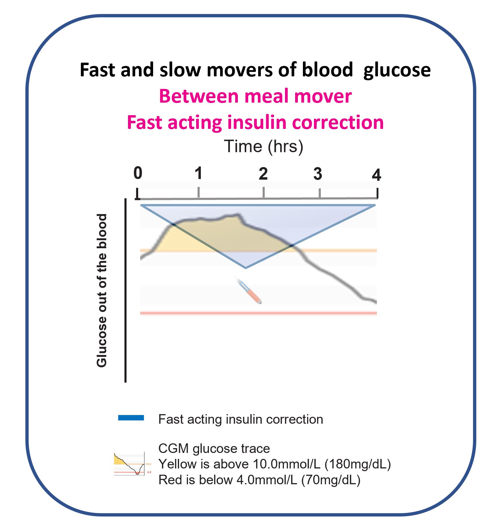 Graph showing slow glucose decline over several hours after a correction insulin dose