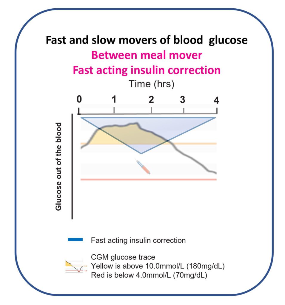Diagram showing insulin corrections as slow movers for between-meal highs