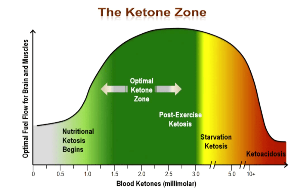 Graph showing blood ketone levels across the experiment — only reaching nutritional ketosis range when protein intake was substantially reduced