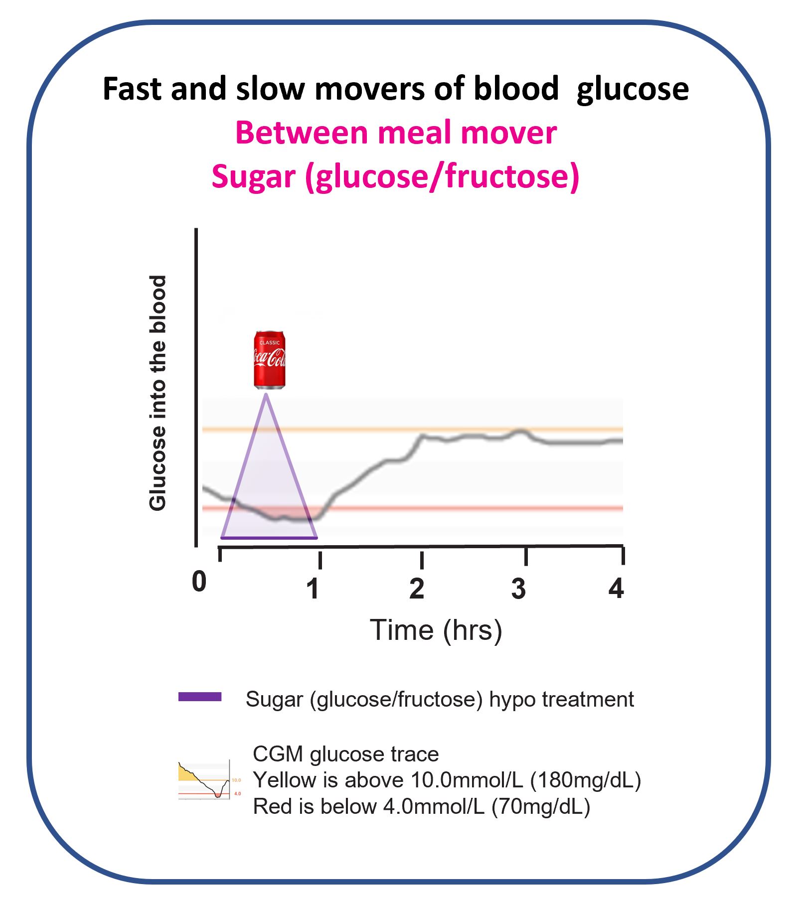 Graph showing slower glucose rise from sugar compared with pure glucose