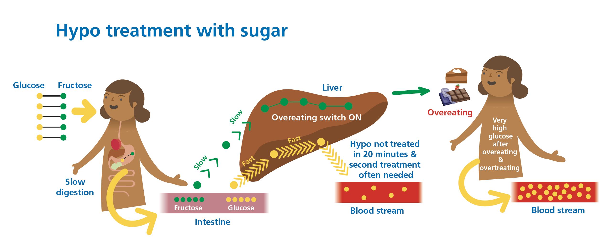 Diagram showing the cascade effect of sugar treatment: slow correction, repeat dosing, fructose storage, rebound high