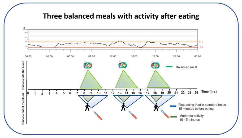 Graphic showing a three balanced meals structure for adults with type 1 diabetes
