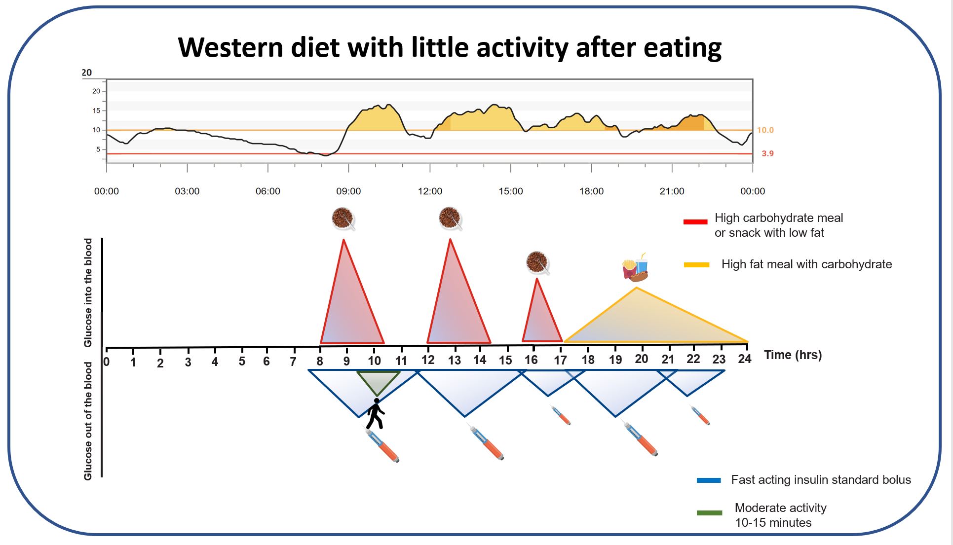 Graphic illustrating typical features and outcomes of a Western diet pattern