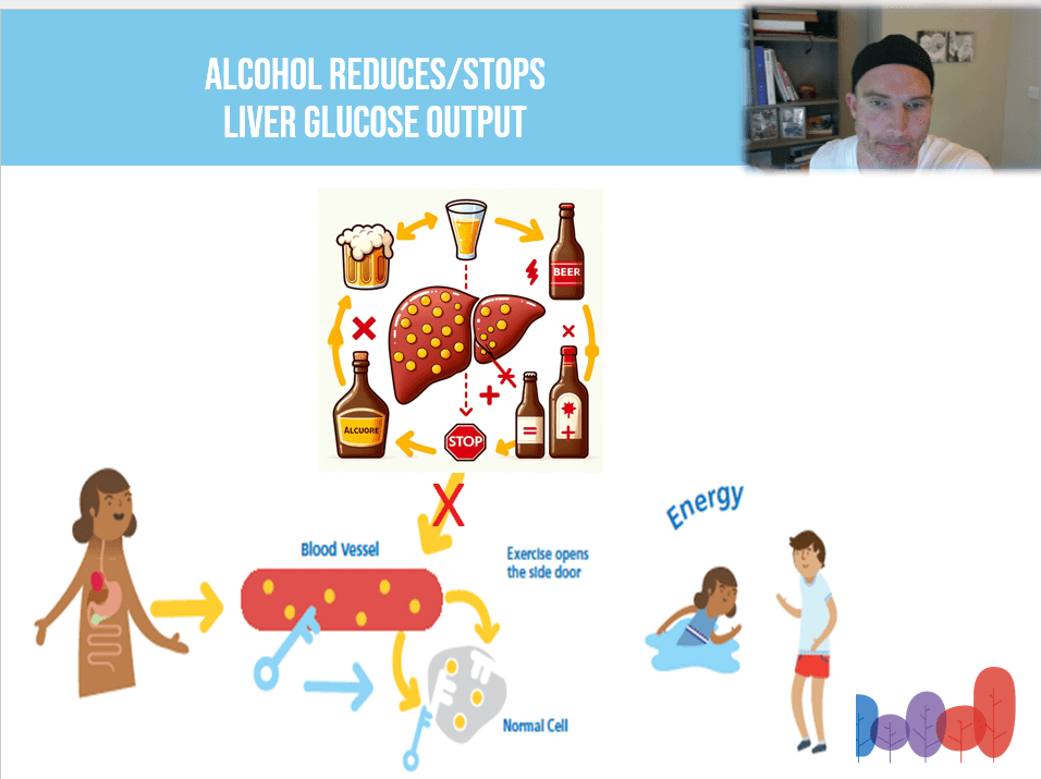 Alcohol and glucose management: mechanism overview