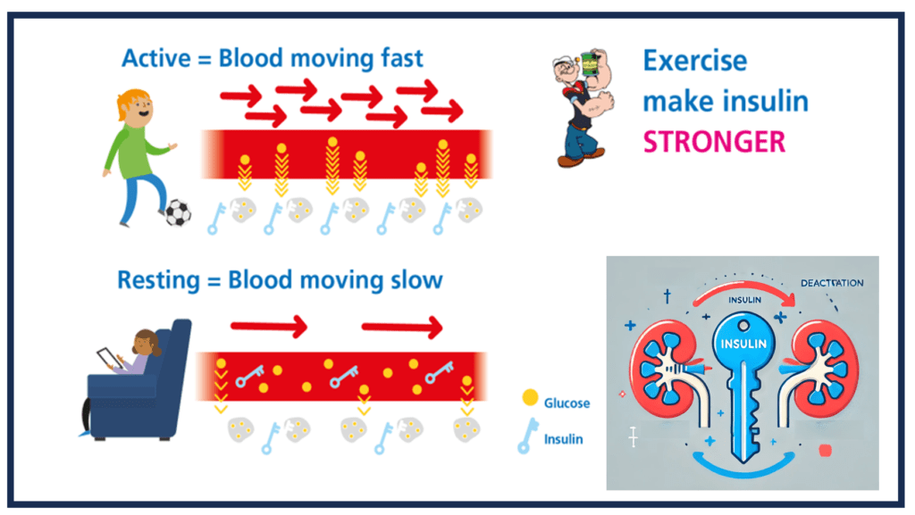 CGM trace showing glucose lowering effect of short bursts of activity