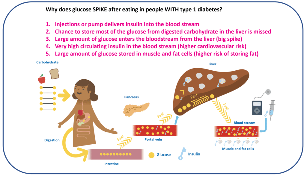 Diagram showing the portal vein mismatch — subcutaneous insulin delivery results in lower portal insulin levels compared to physiological secretion