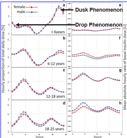 Dusk-Then-Drop phenomenon diagram showing insulin resistance rising from 17:00 to 22:00 then dropping overnight in under-5s — The Glucose Never Lies®