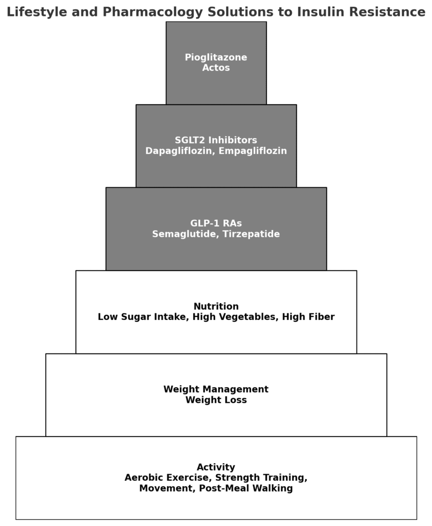 Pyramid diagram showing the seven pillars for improving insulin sensitivity in type 1 diabetes, with lifestyle foundations at the base and pharmacology at the top