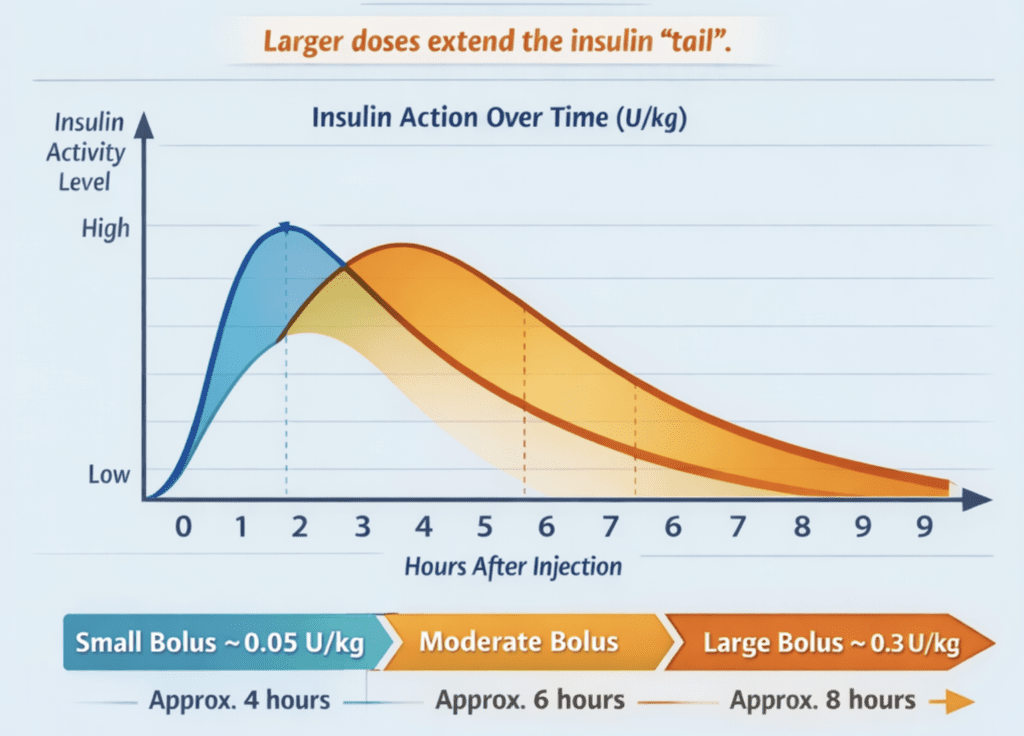 Dose-dependent insulin action by U/kg: how larger boluses produce a longer insulin tail