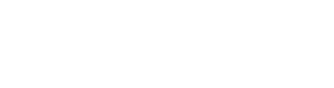 Diabetic Health Coach